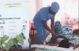 Formazione - Borse di studio